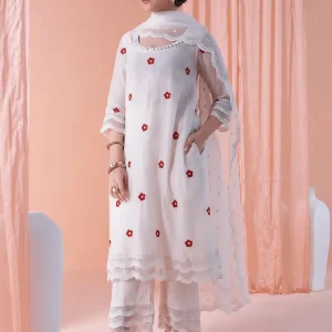 Modern Ethnic Wear